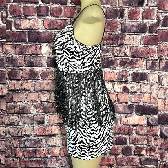 Wild Nights Zebra Sequin Fringe Dress - Picture 5 of 9